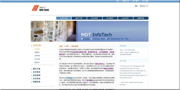 多源思維麗安軟件外包服務 專業高效的技術合作伙伴