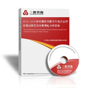 2016-2020年中國軟件服務外包行業投資規劃與發展策略分析